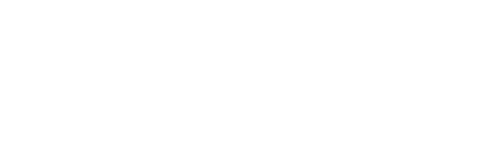 The Animal Game